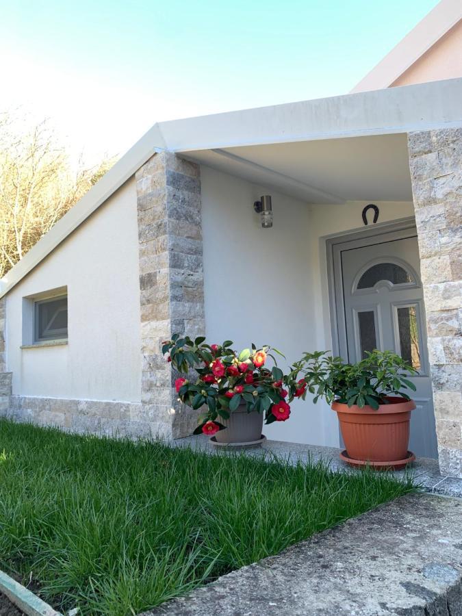 Markovic Village Apartments Ulcinj Exteriér fotografie